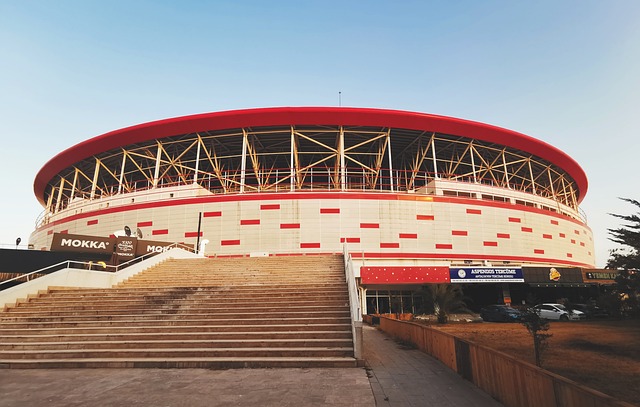 韩国主帅战术安排获赞